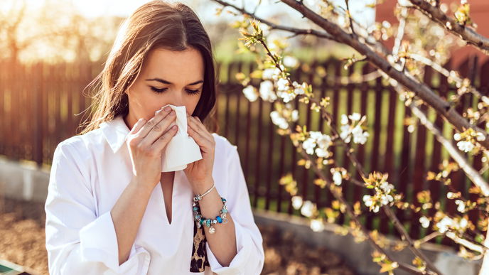 Coronavirus: Asthmatiker sollten Therapie nicht aussetzen