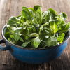 Feldsalat zubereiten: So wird‘s gemacht