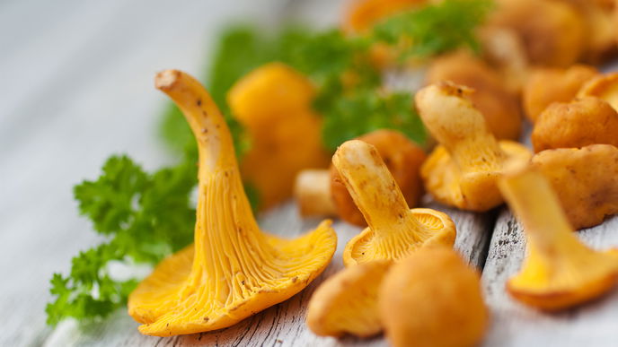 Pfifferlinge zubereiten: Tipps und Tricks