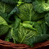 Grünes Superfood: Wirsing richtig zubereiten