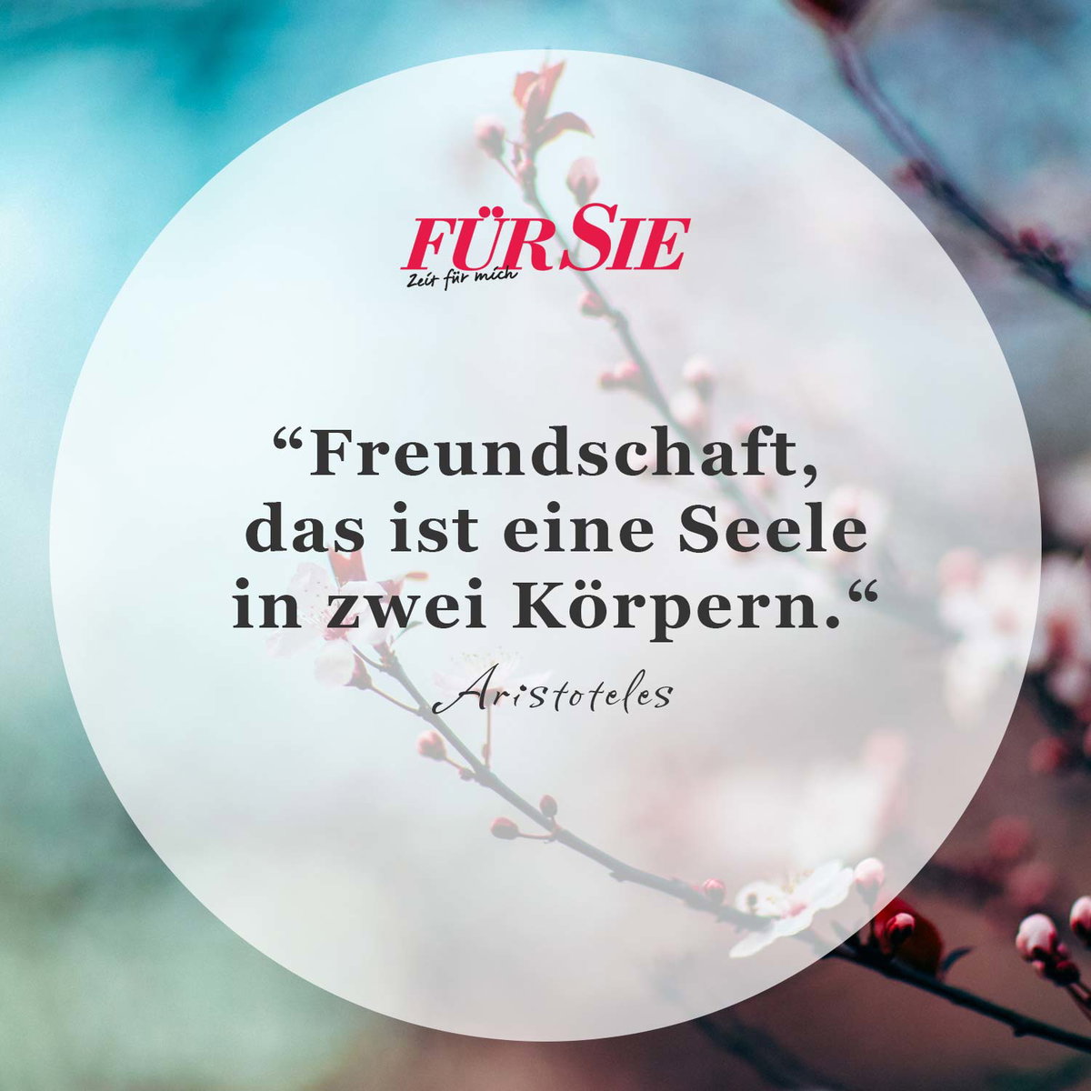 Spruch des Tages