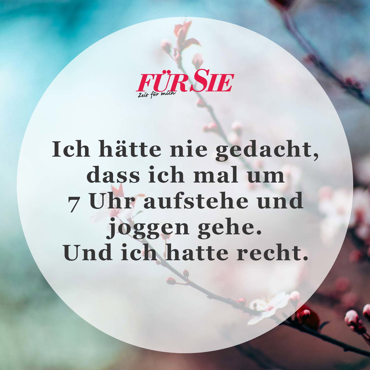 Spruch des Tages