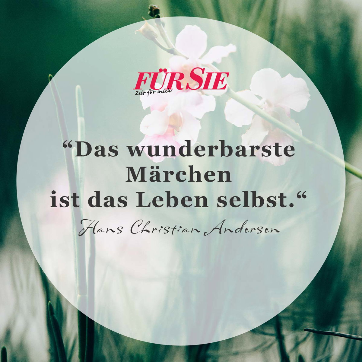 Spruch des Tages