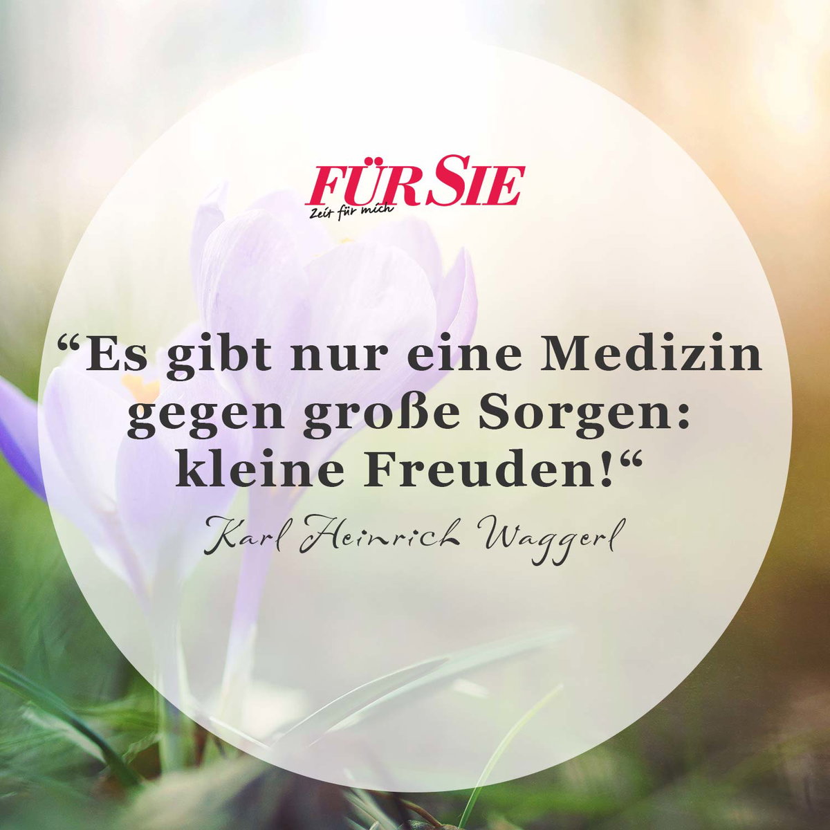 Spruch des Tages