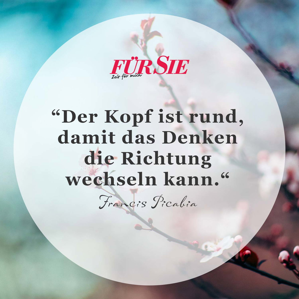 Spruch des Tages