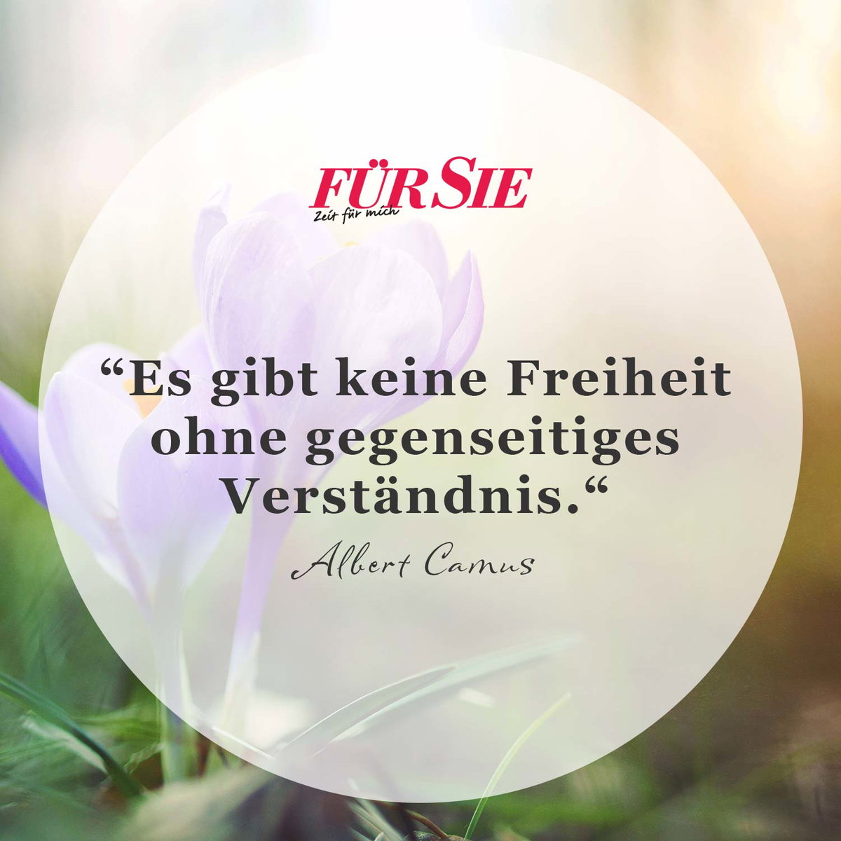 Spruch des Tages