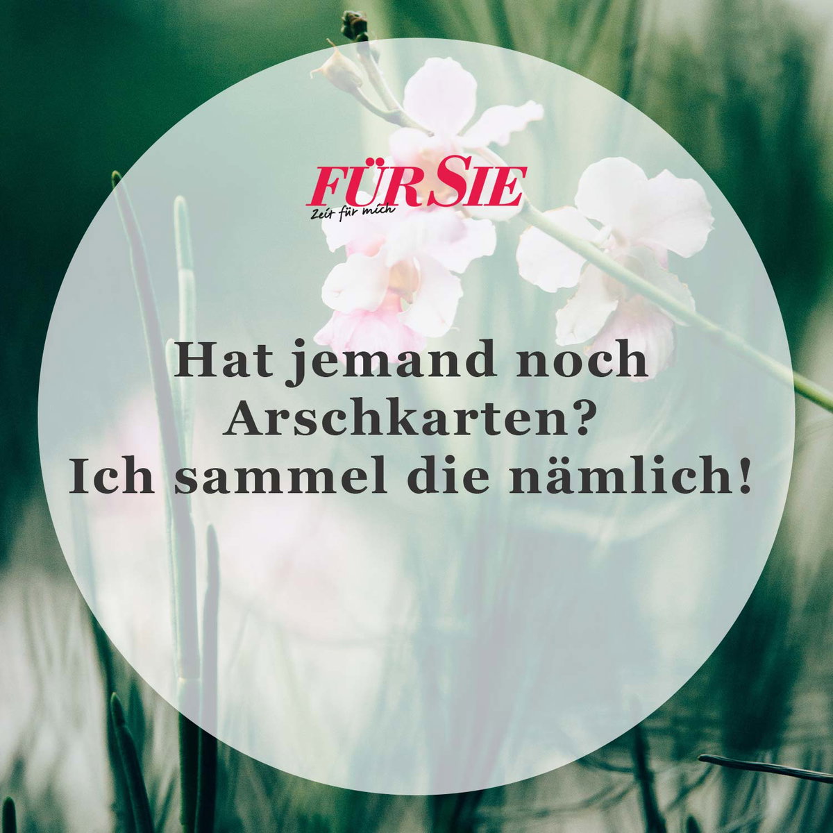 Spruch des Tages