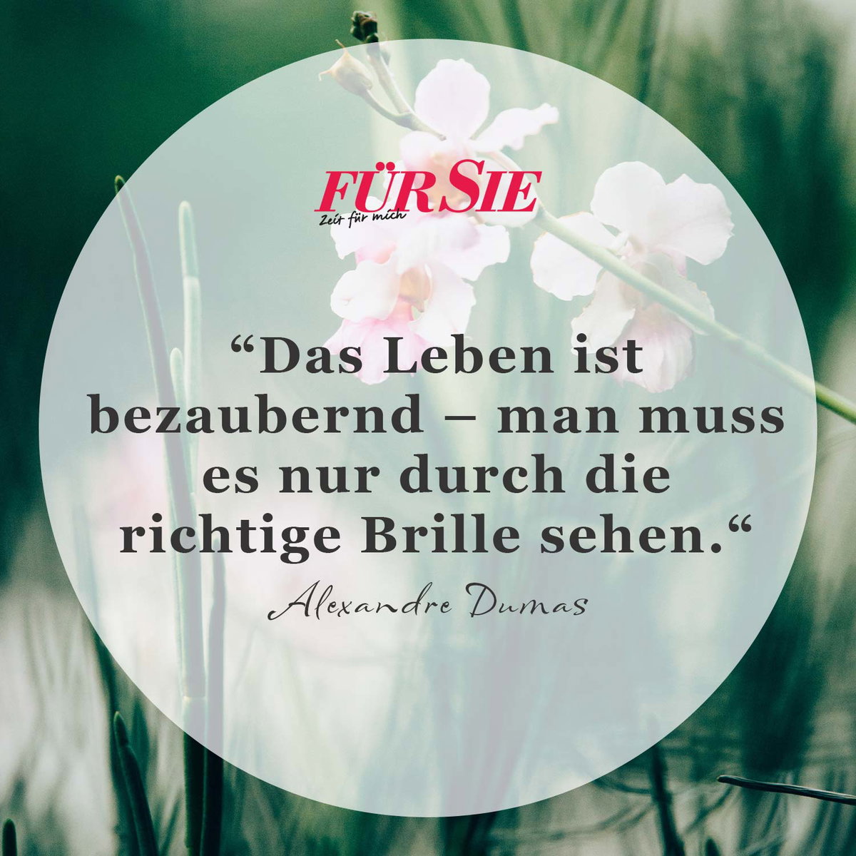 Spruch des Tages