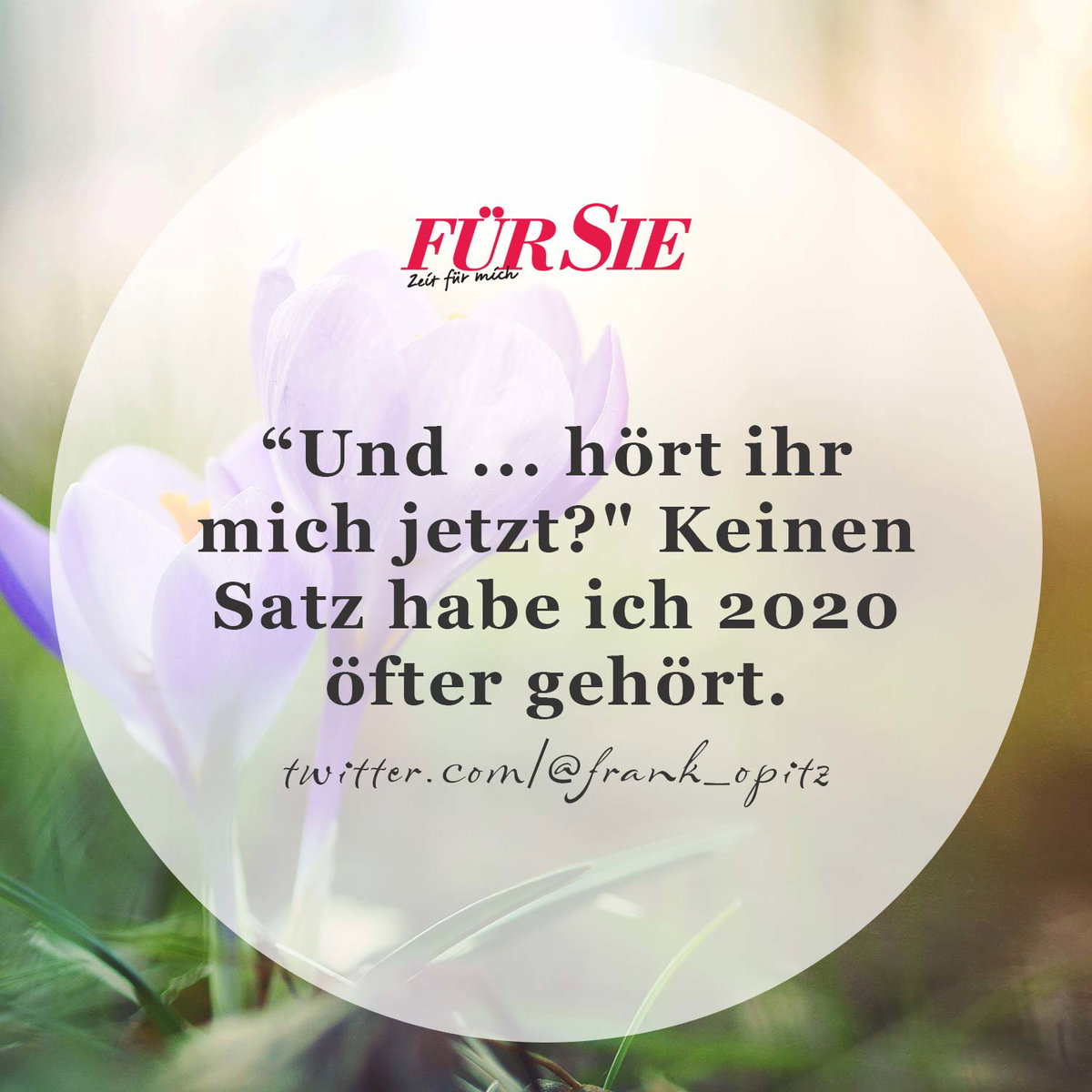Spruch des Tages