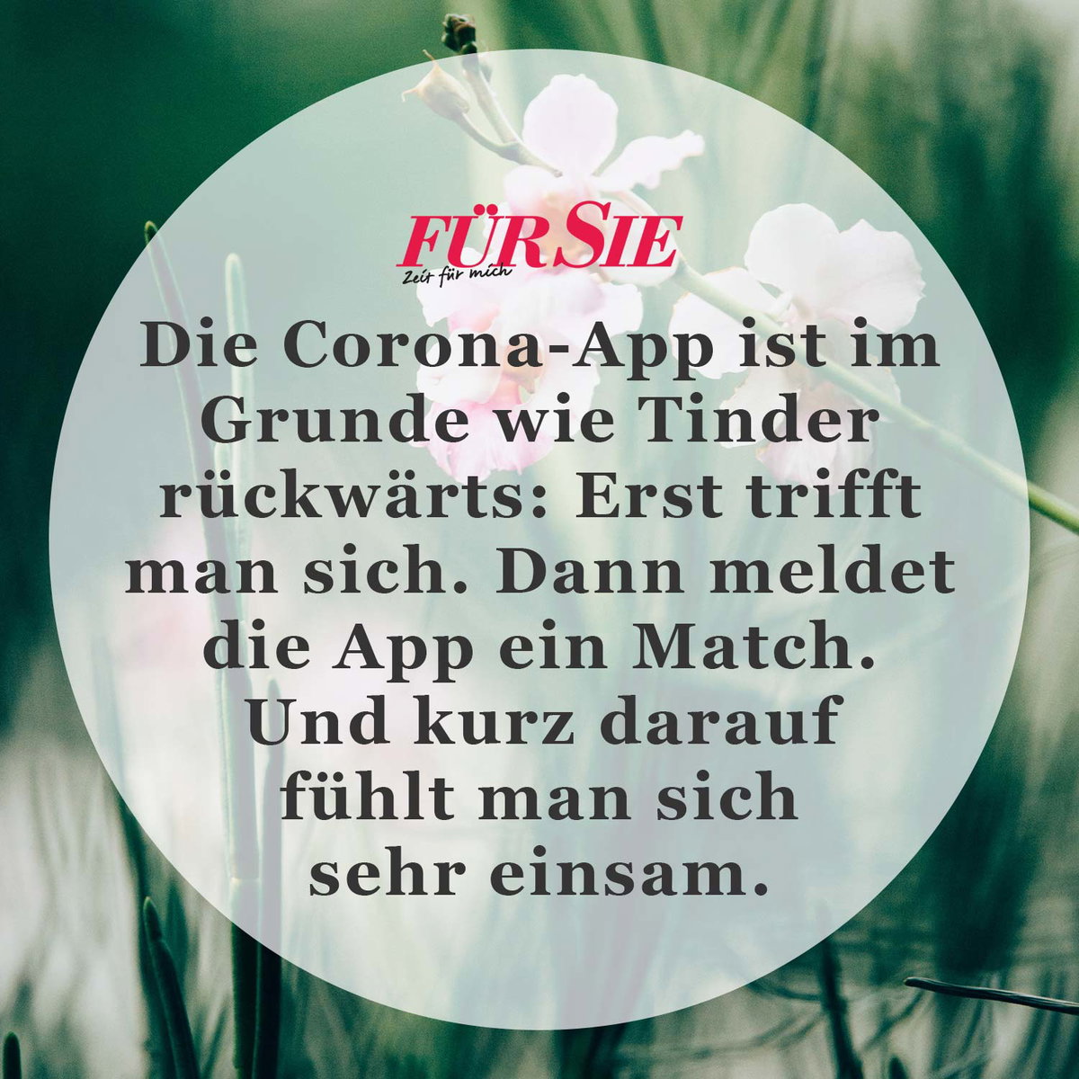 Spruch des Tages