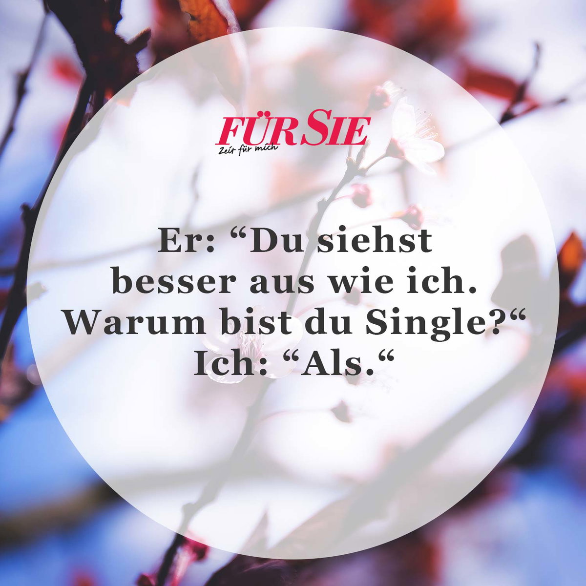 Spruch des Tages