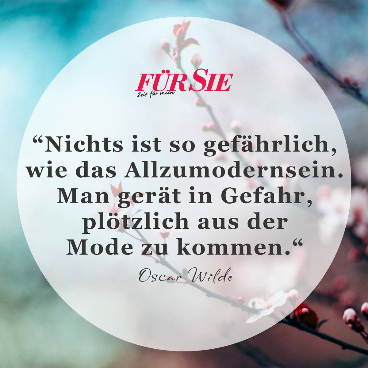 Spruch des Tages