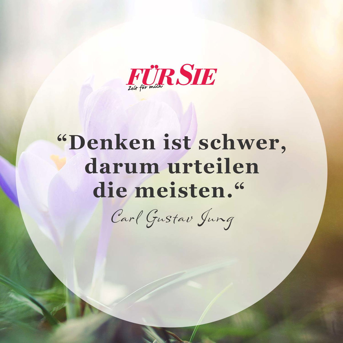 Spruch des Tages