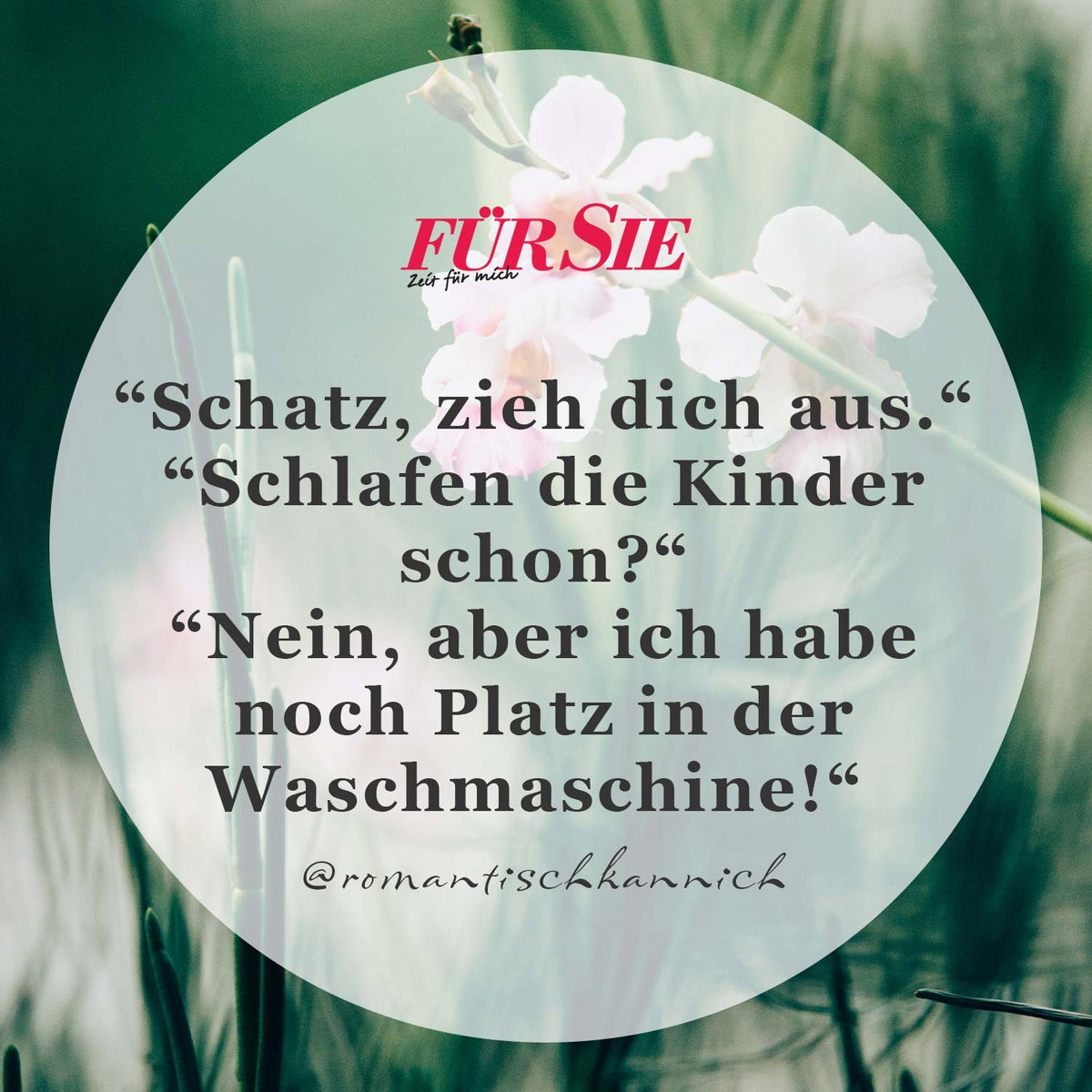 Spruch des Tages