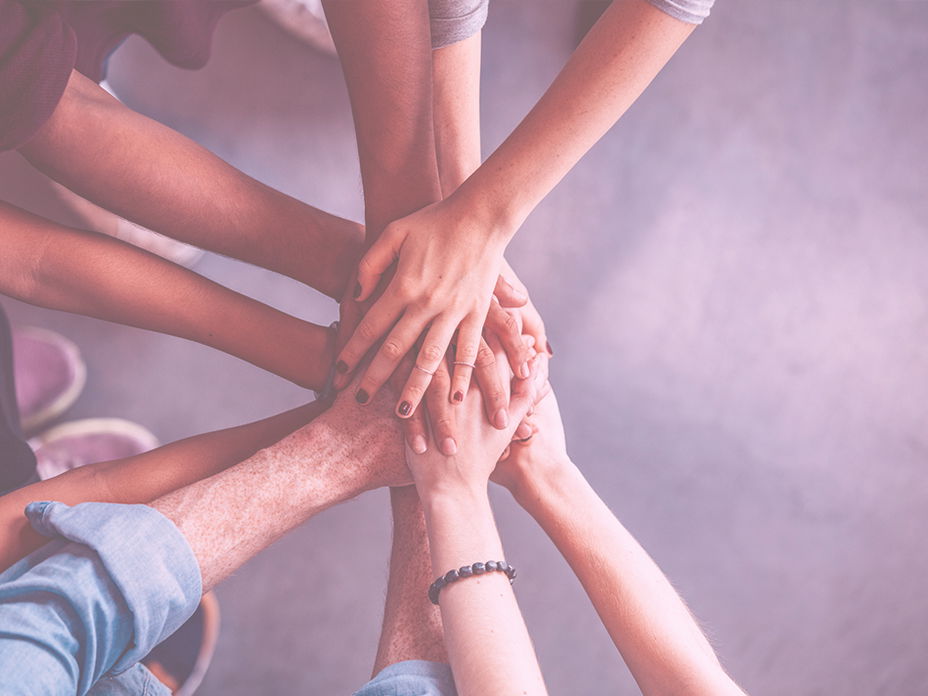 FÜR SIE College: Unsere Kooperationspartner