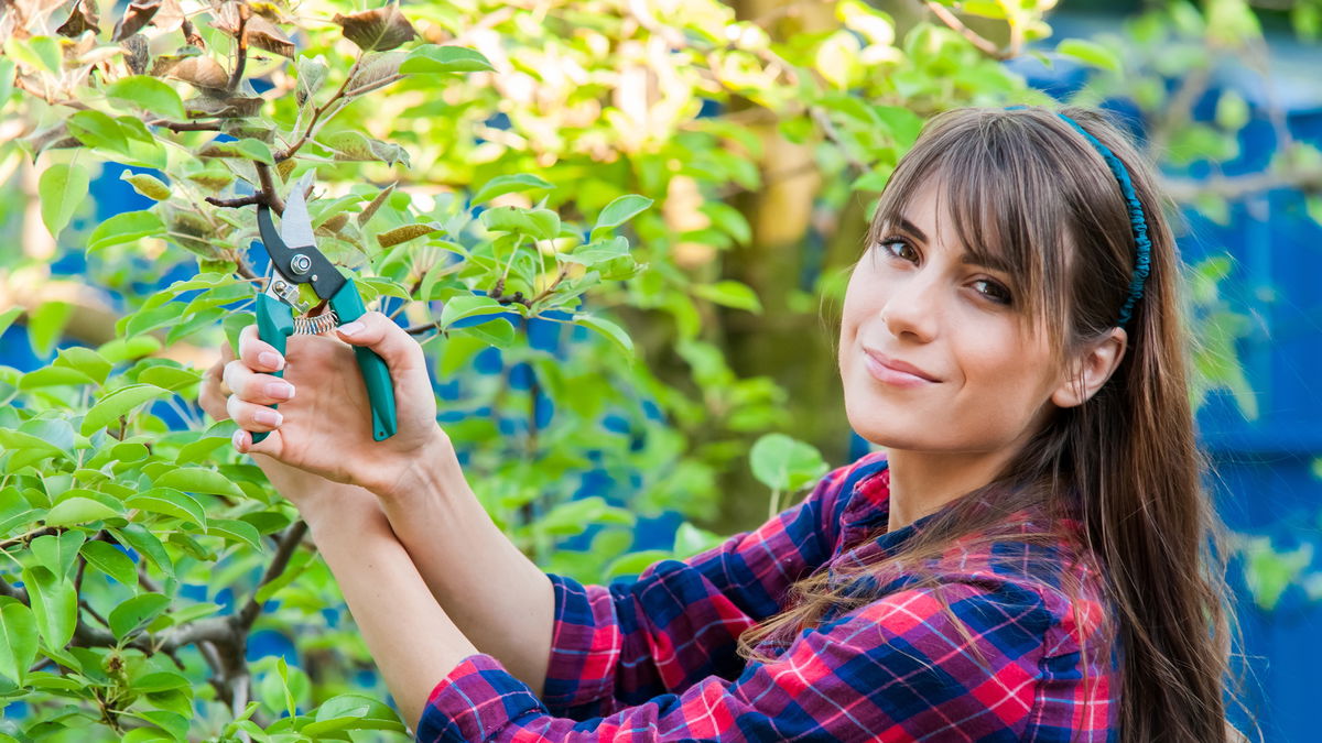 Gartenarbeit im September und Oktober: Was jetzt zu tun ist