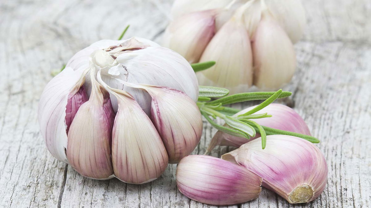 Welche Hausmittel helfen gegen fiesen Knoblauchgeruch?