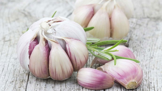 Welche Hausmittel helfen gegen fiesen Knoblauchgeruch?
