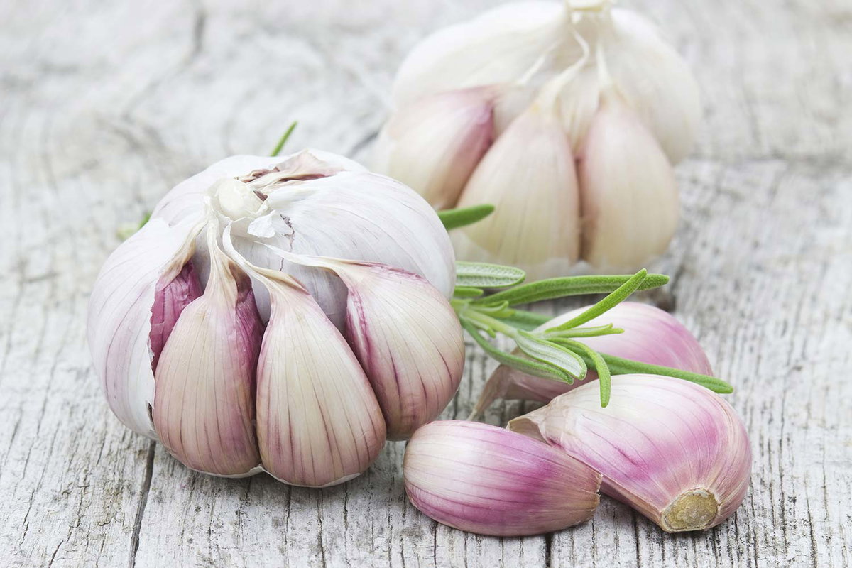 Knoblauch