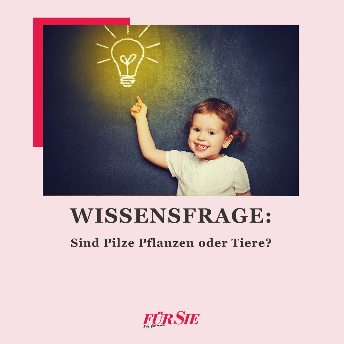 Wissensfrage