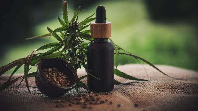 Achtung! So nehmen Sie CBD-Öl richtig ein