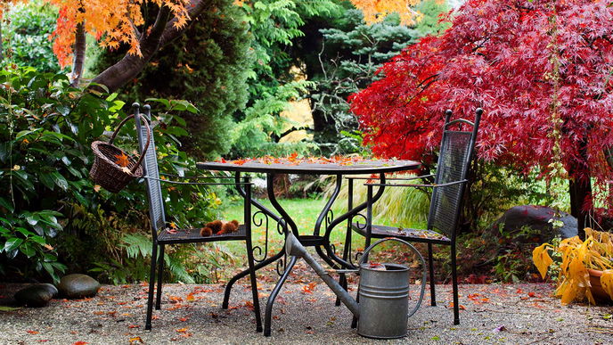 Garten im Herbst: Diese Arbeiten stehen bald an