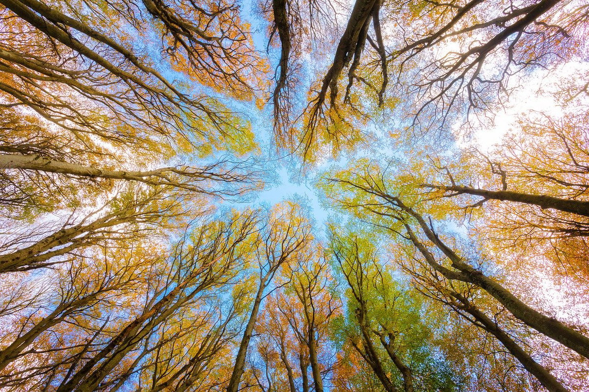Herbstbilder