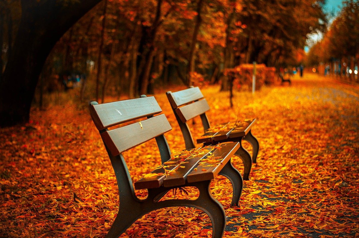 Herbstbilder