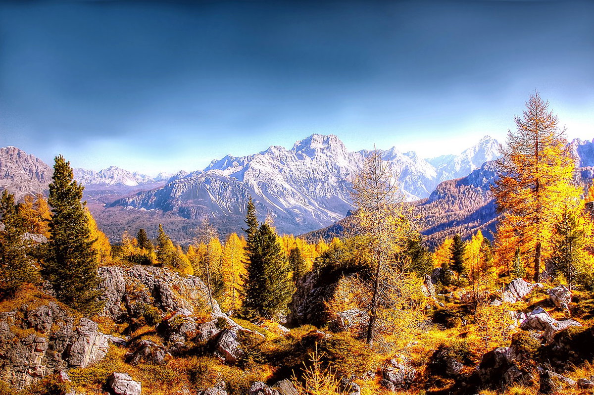 Herbstbilder