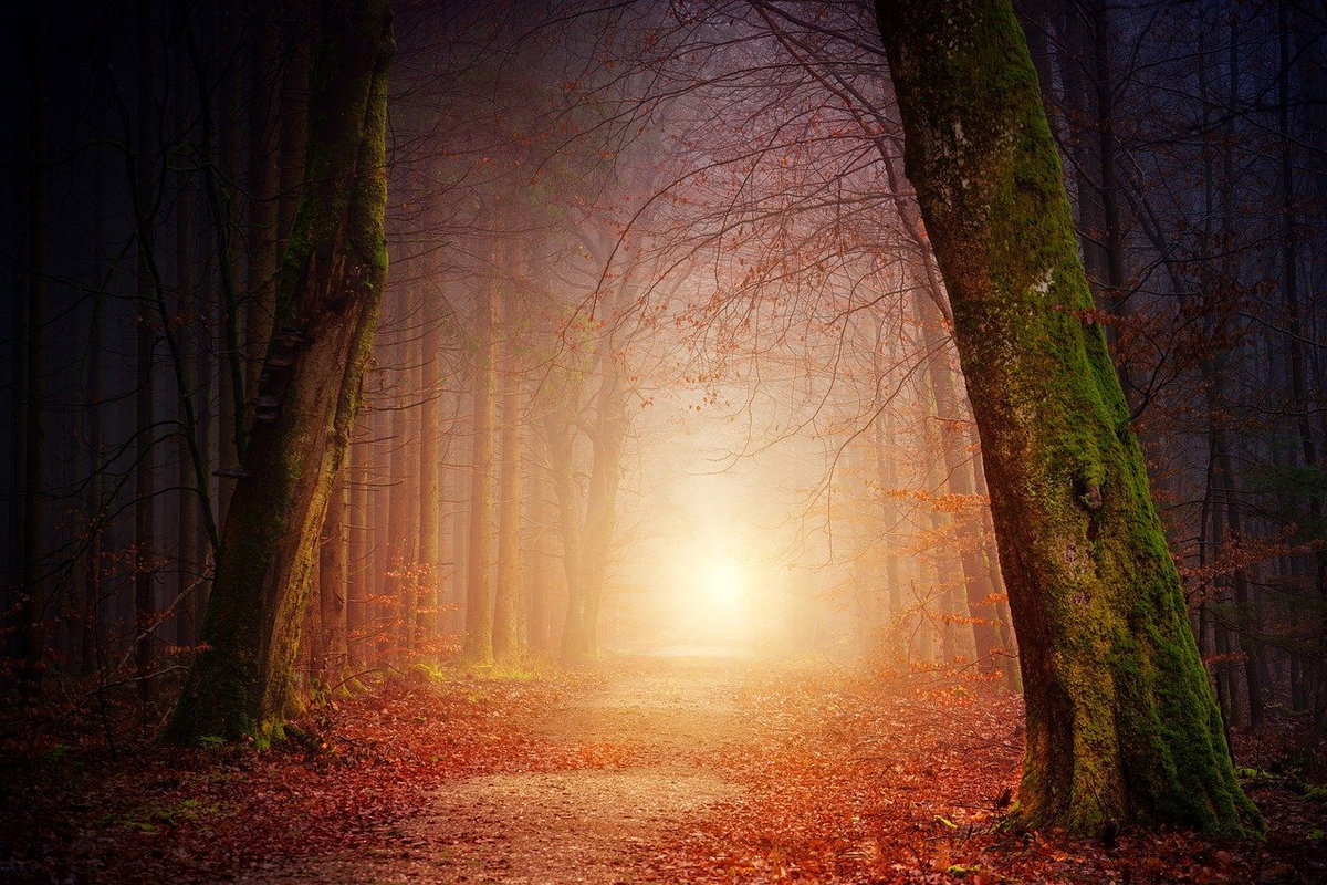Herbstbilder
