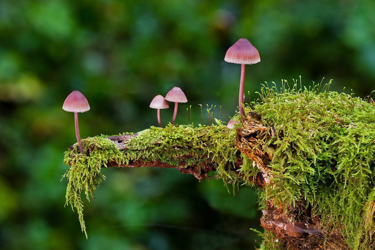 Herbstbilder