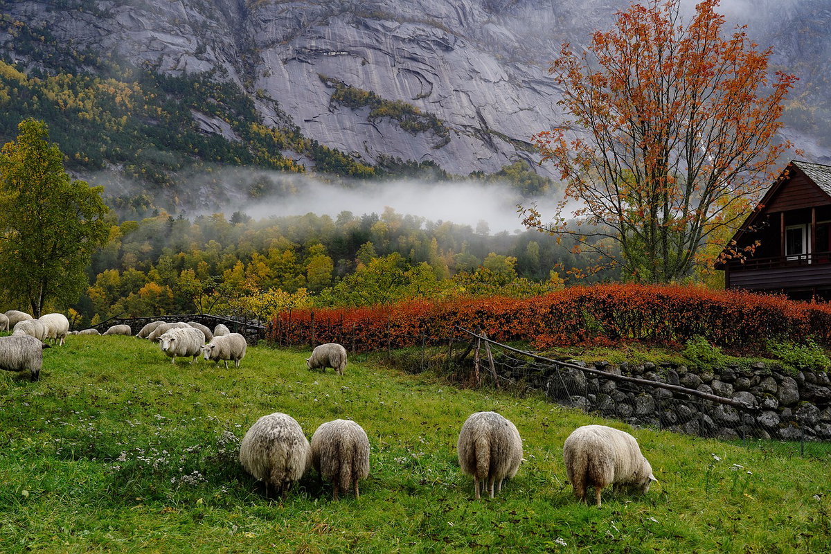 Herbstbilder