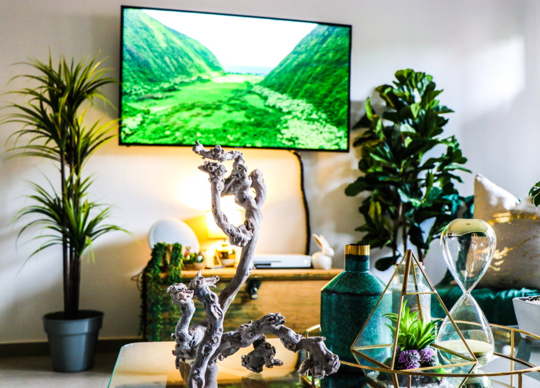 Fernseher mit Naturbild