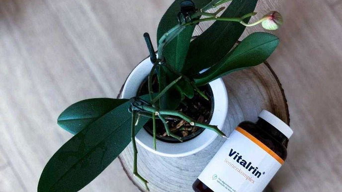 Vitalrin im Selbsttest: Nadines Erfahrungsbericht