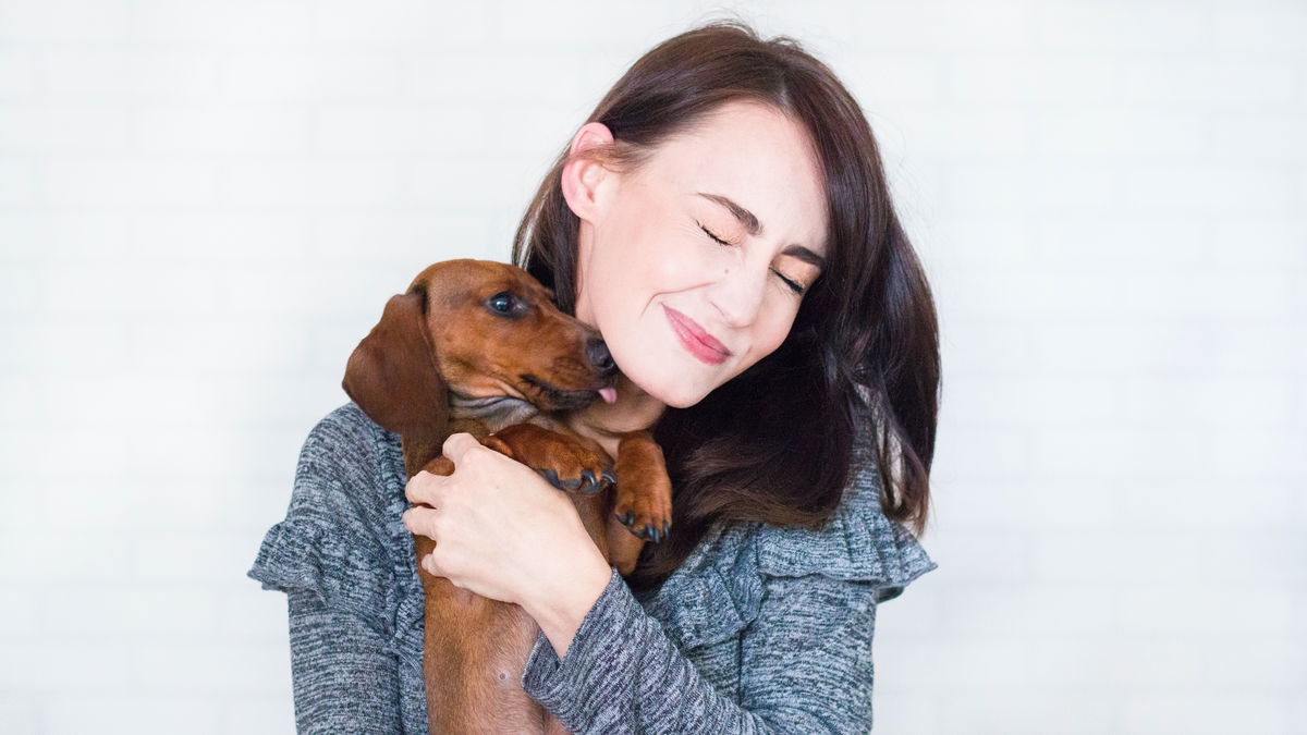 Daran erkennen Sie, dass Ihr Hund Sie lieb hat