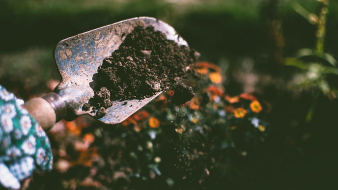5 Dinge im Garten, für die Sie Natron verwenden können