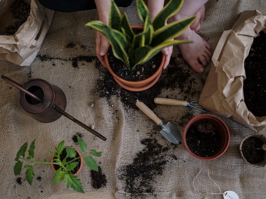 5 Fehler, die jeder bei der Gartenarbeit macht