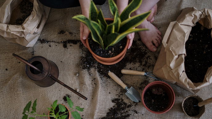 5 Fehler, die jeder bei der Gartenarbeit macht