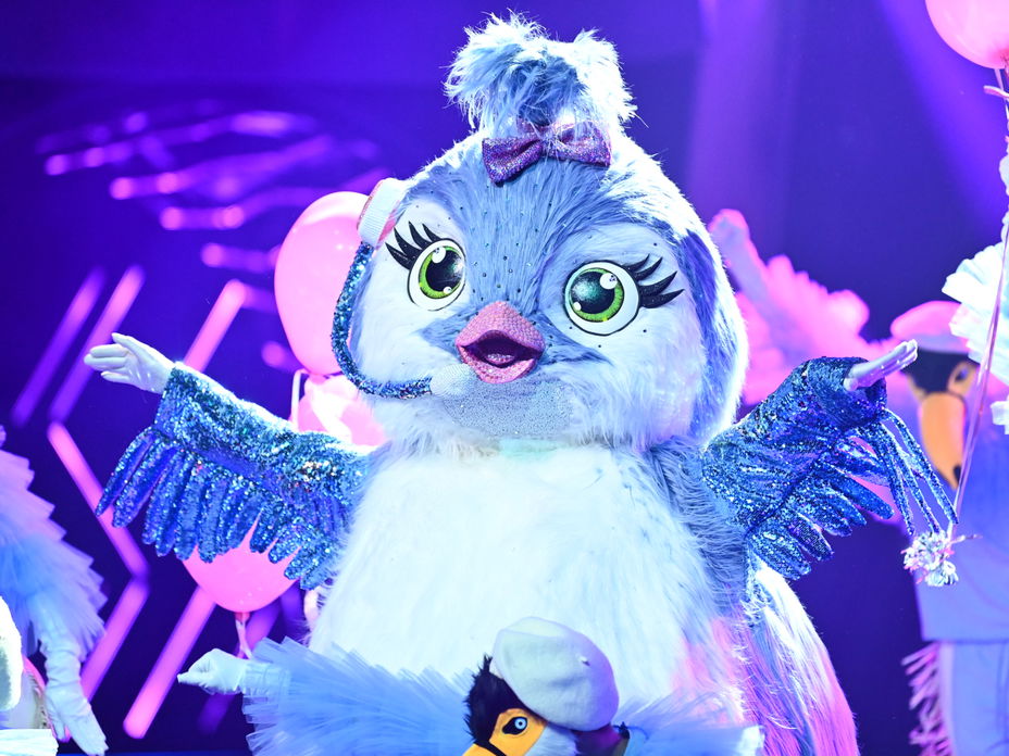 The Masked Singer Küken