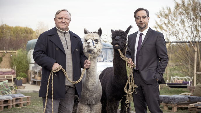 Münster-Tatort am Sonntag: Axel Prahl und Jan Josef Liefers ermitteln in "Rhythm and Love"