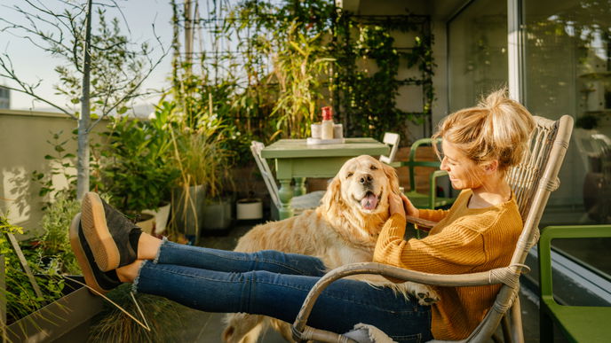 Balkon gestalten: 6 Pflanzen, die sich perfekt für eine grüne Wand eignen 