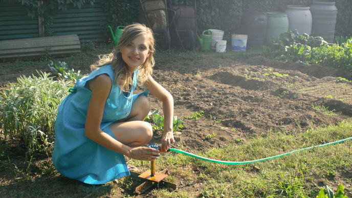 Blumenbeet anlegen: 3 Dinge, die Anfänger vorher beachten sollten