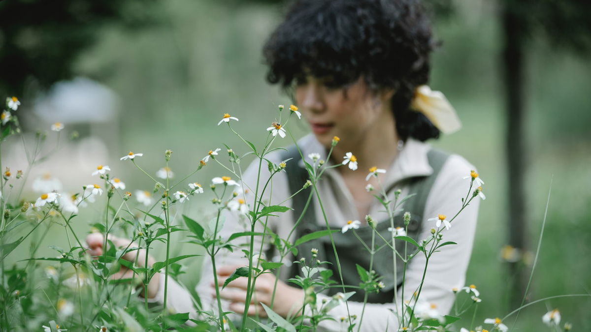 Garten gestalten: Die 5 besten Pflanzen für Anfänger 