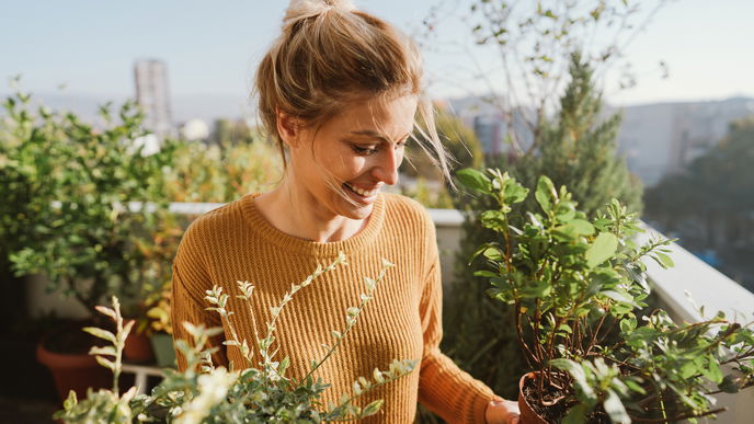 Garten im März: Diese 4 wichtigen Dinge sind jetzt zu tun