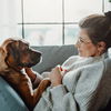 Welcher Hund passt zu mir? So finden Sie die perfekte Hunderasse für sich