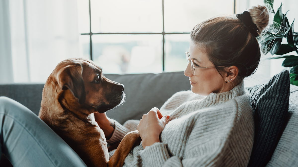 Welcher Hund passt zu mir? So finden Sie die perfekte Hunderasse für sich