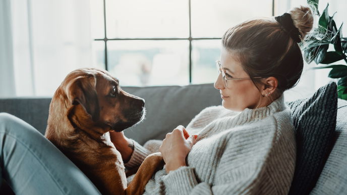 Welcher Hund passt zu mir? So finden Sie die perfekte Hunderasse für sich