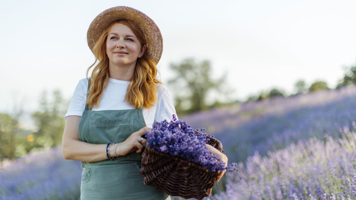 Die 5 besten Heilpflanzen für den Garten