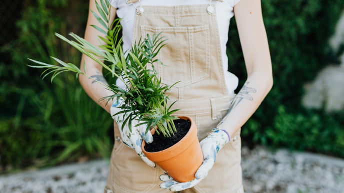 6 Garten-Probleme, die sich mit Essig lösen lassen