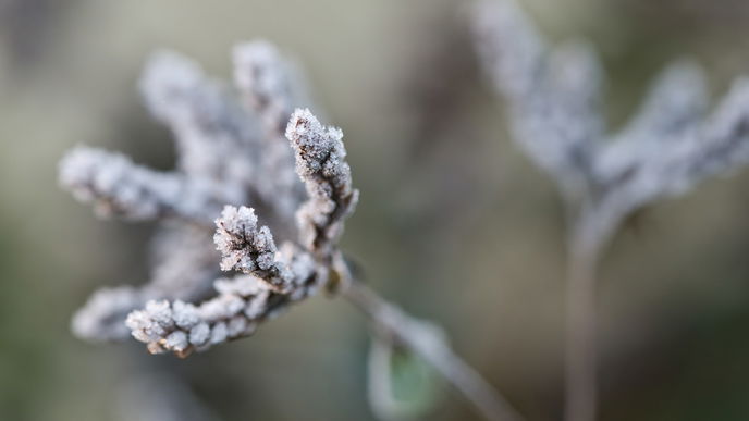 Wetter-Schock im Frühling: "Kälte-Ei" rollt auf Deutschland zu
